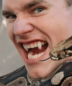 Teeth & Fangs Scarecrow Custom Viper Split Deluxe Vampire Fangs