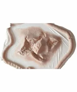 Prosthetics Monster FX Encapsulated Silicone Prosthetic - Animal Bite Wound