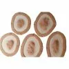 Prosthetics Monster FX Encapsulated Silicone Prosthetic - Boils Set (5pc)