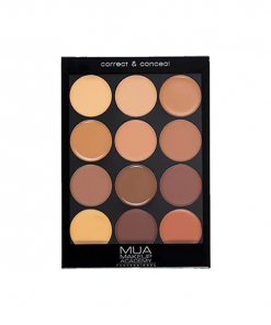 Masking & Concealment MUA Correct & Conceal Palette - Dark Cream Concealer