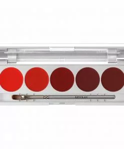 Kryolan Lip Colour 5 Palette - Cream Lipstick & Blusher - D