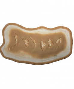 Prosthetics Monster FX Encapsulated Silicone Prosthetic - Large Shark Attack Bite Wound