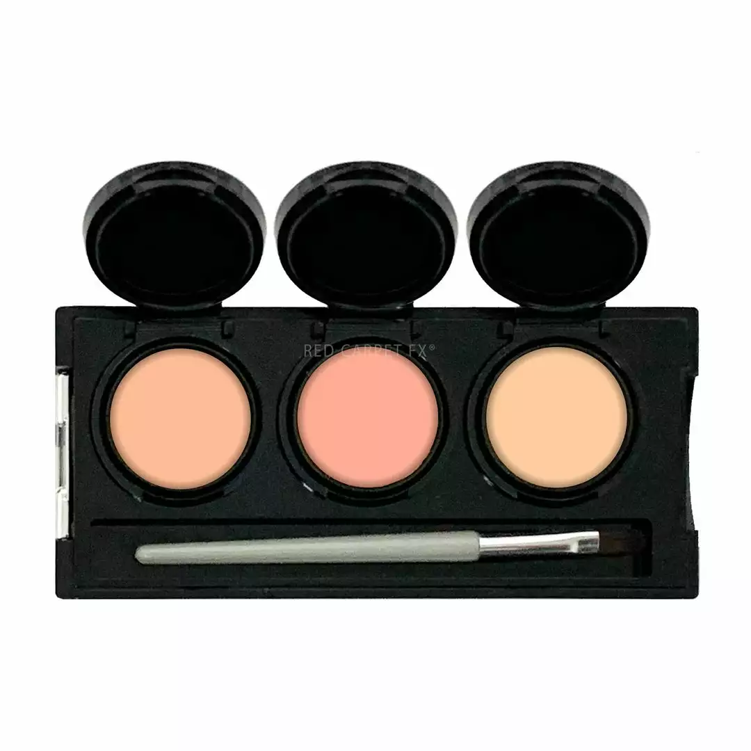 Dermaflage Tattoo & Discolouration Concealer Palette