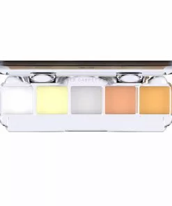 Dashbo Ultimate Special Edition 5 Colour Palette - The Silver Fox FX Colour Palettes