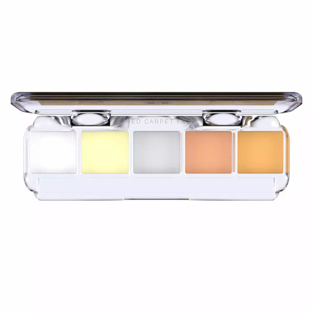 Dashbo Ultimate Special Edition 5 Colour Palette - The Silver Fox FX Colour Palettes