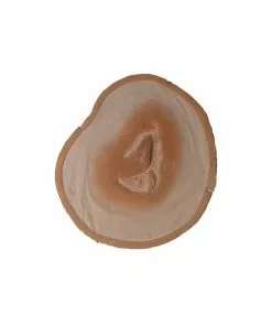 Monster FX Encapsulated Silicone Prosthetic - Small Trauma Wound Prosthetics