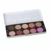 Stargazer Professional Blusher Palette