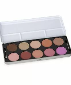 Stargazer Professional Blusher Palette